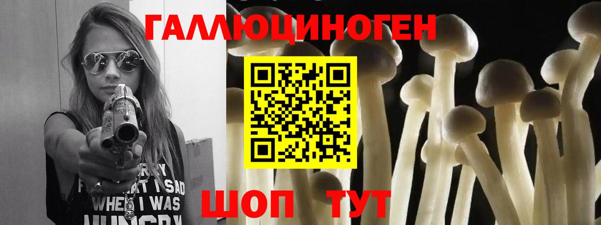 Новочеркасск  Галлюциногенные грибы мицелий  Вход с VPN 